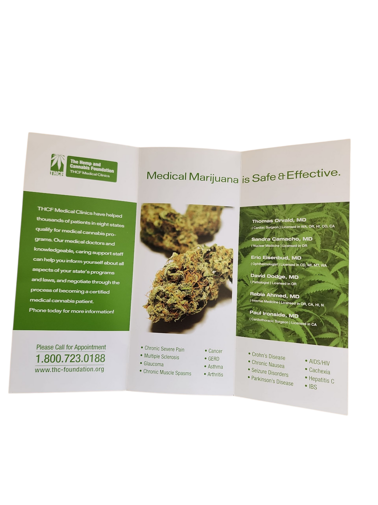 2009 THCF Medical Marijuana Brochure Cannabis Advertising